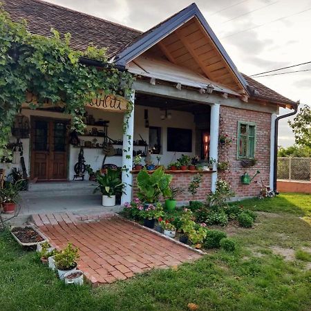 דירות Amanet House Zasavica מראה חיצוני תמונה