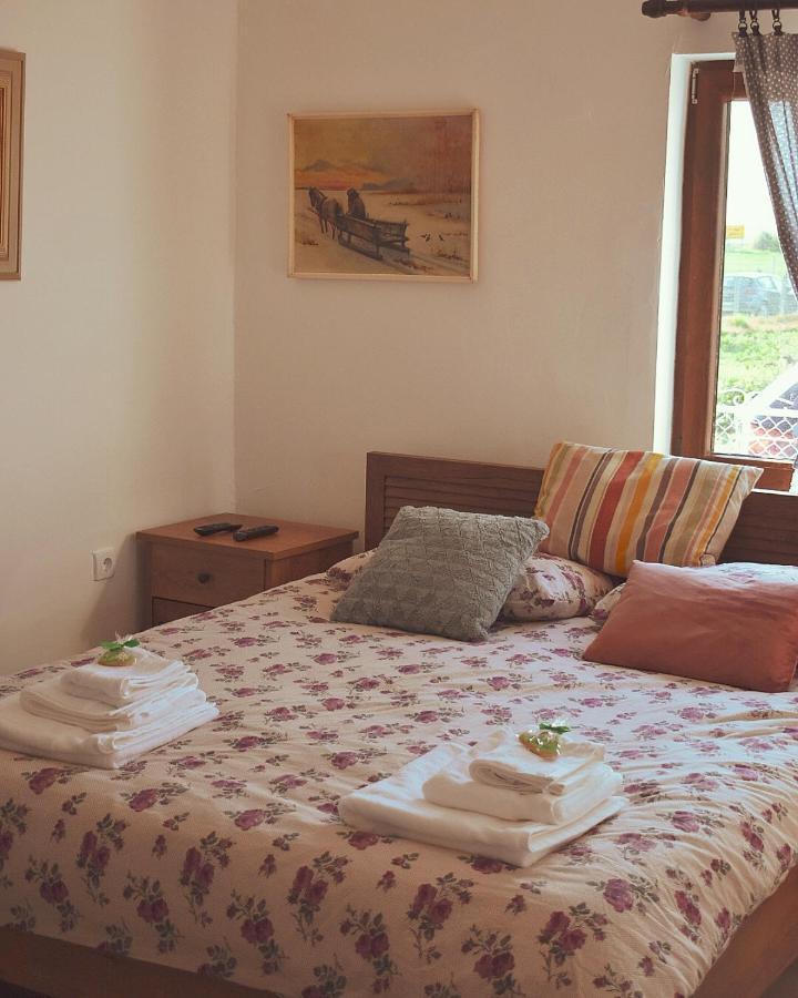דירות Amanet House Zasavica מראה חיצוני תמונה