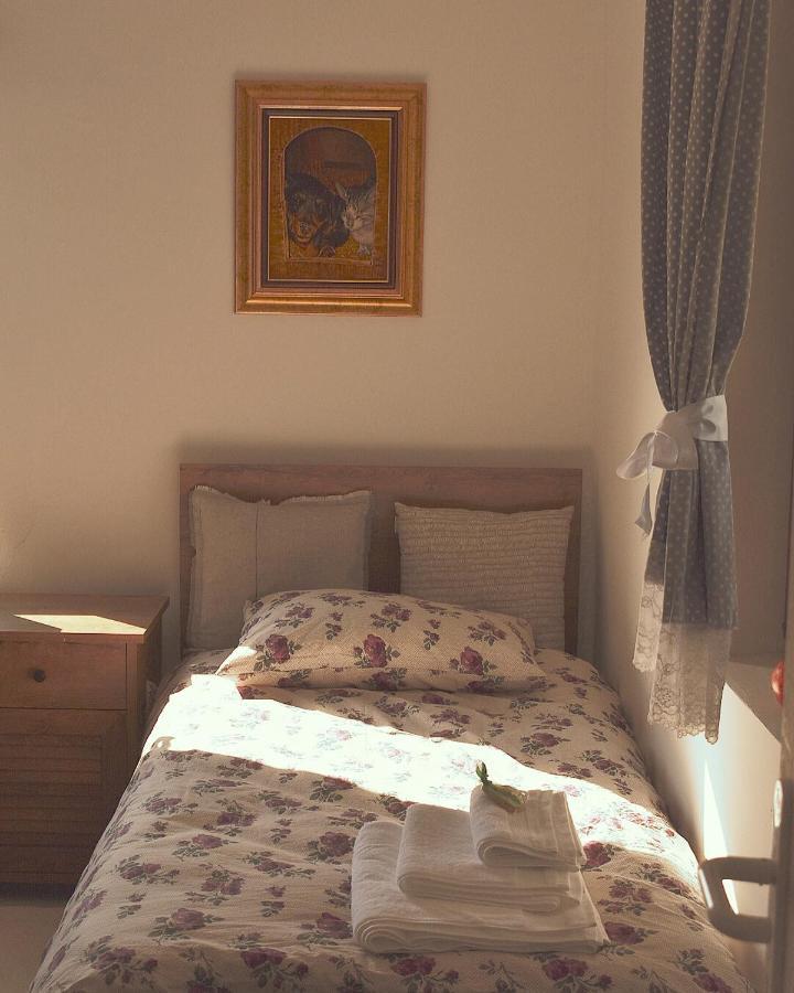 דירות Amanet House Zasavica מראה חיצוני תמונה