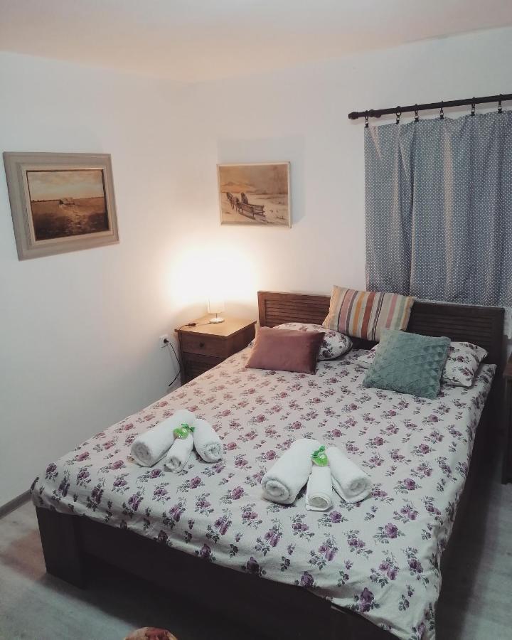 דירות Amanet House Zasavica מראה חיצוני תמונה