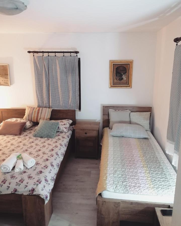 דירות Amanet House Zasavica מראה חיצוני תמונה
