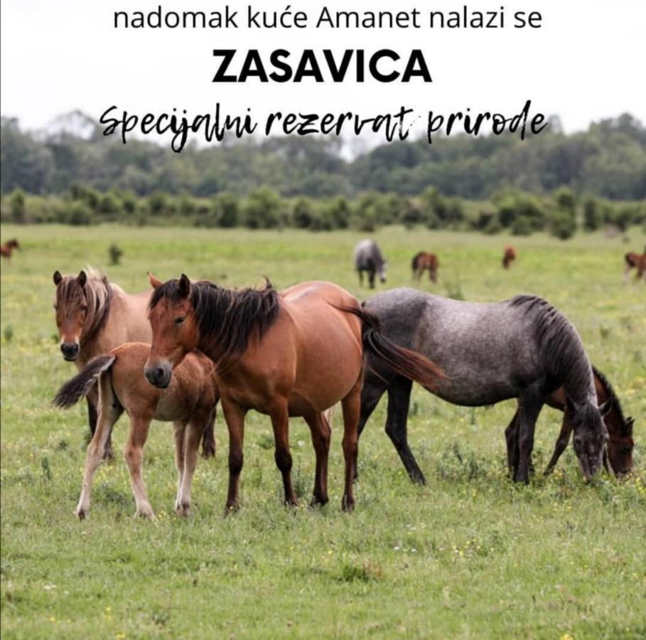 דירות Amanet House Zasavica מראה חיצוני תמונה