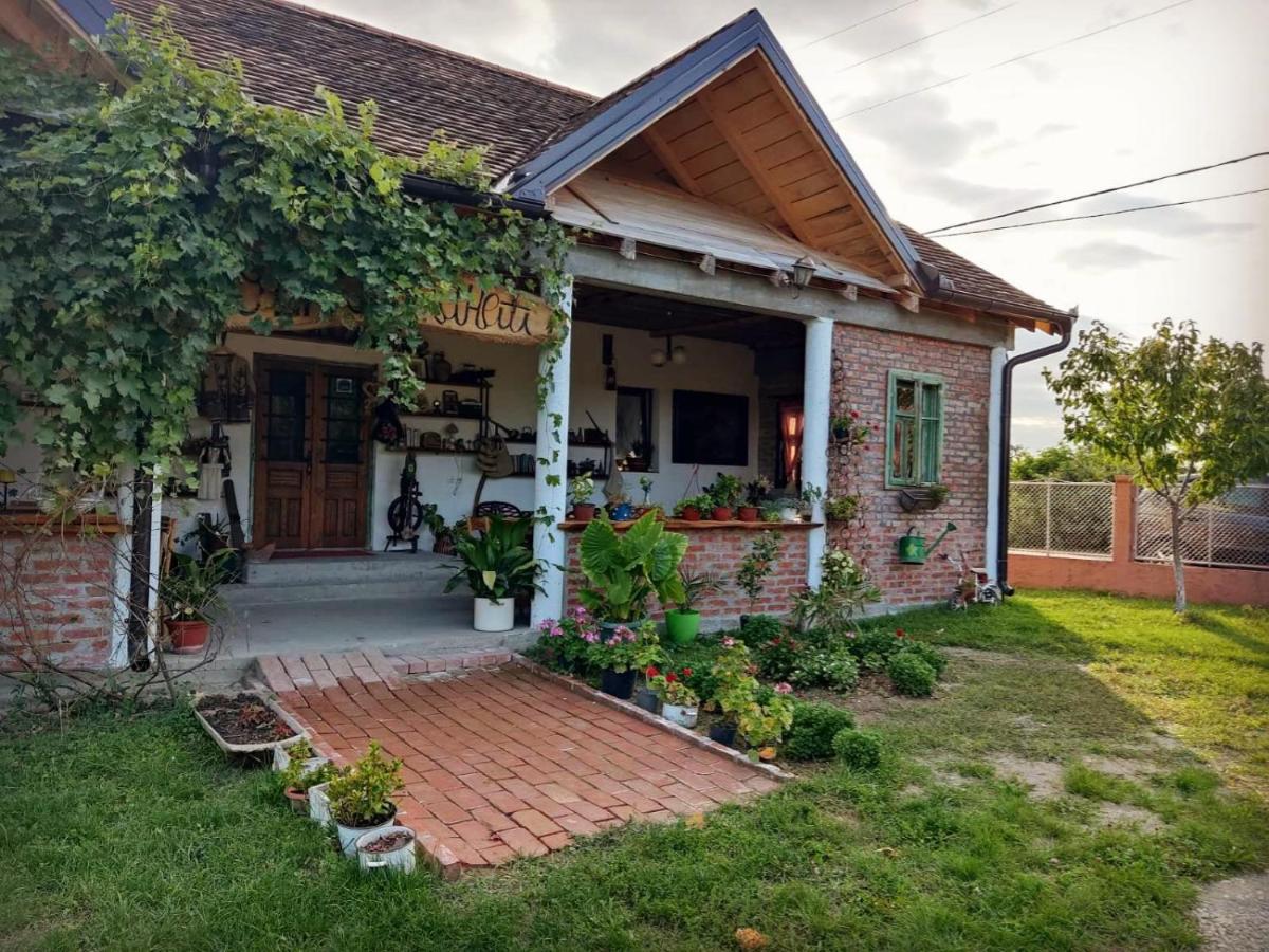 דירות Amanet House Zasavica מראה חיצוני תמונה