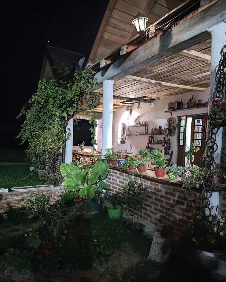 דירות Amanet House Zasavica מראה חיצוני תמונה