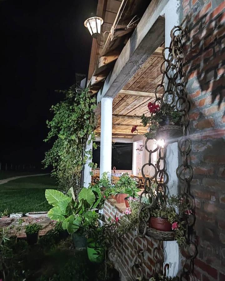 דירות Amanet House Zasavica מראה חיצוני תמונה