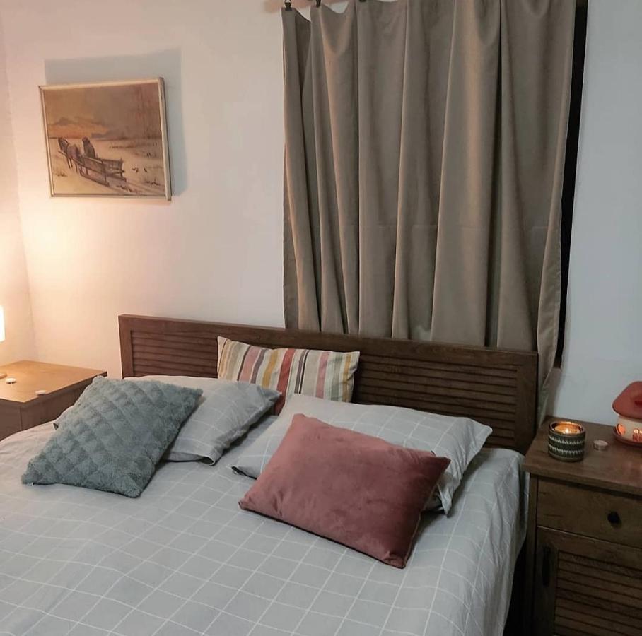 דירות Amanet House Zasavica מראה חיצוני תמונה
