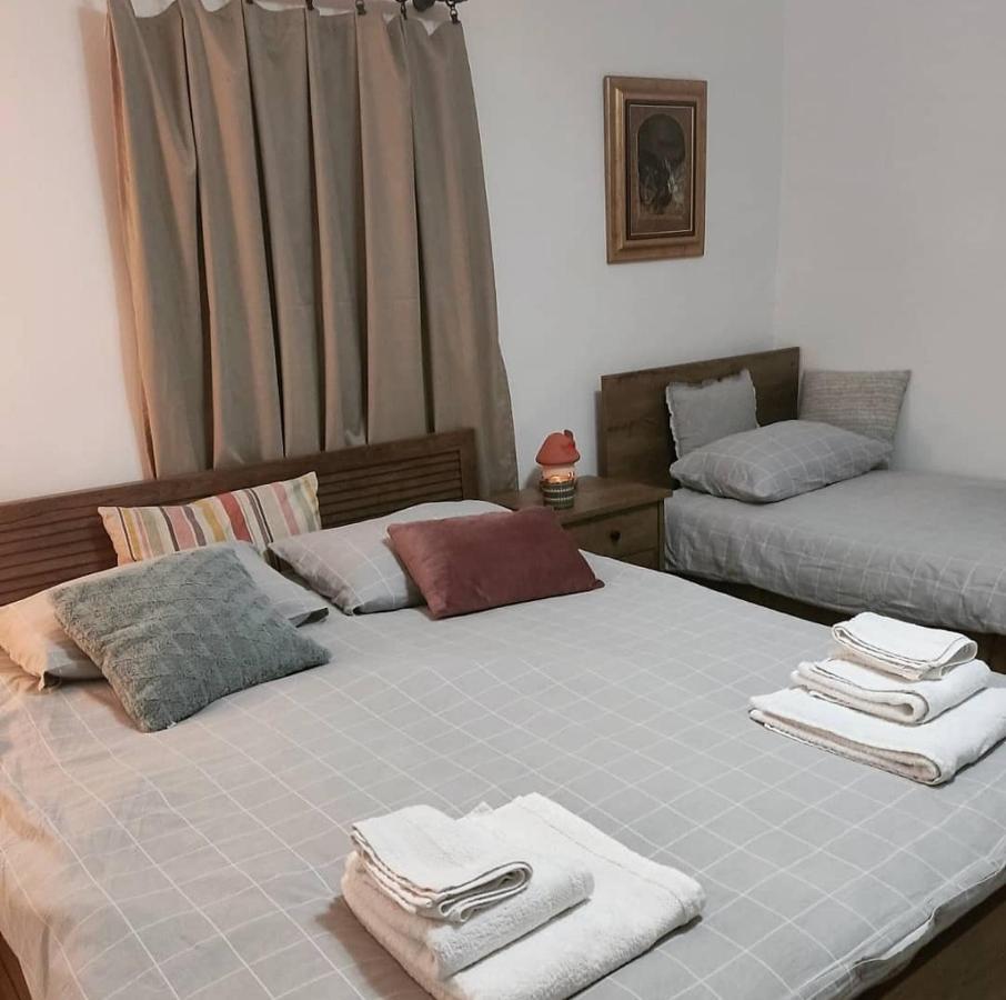 דירות Amanet House Zasavica מראה חיצוני תמונה
