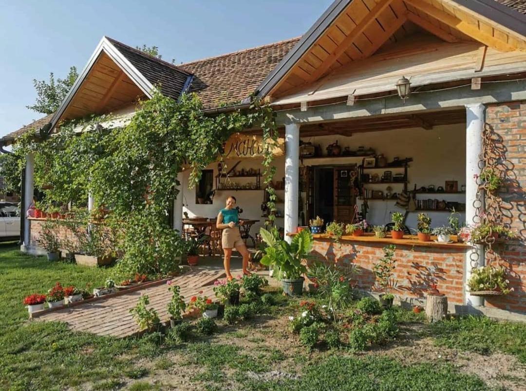 דירות Amanet House Zasavica מראה חיצוני תמונה