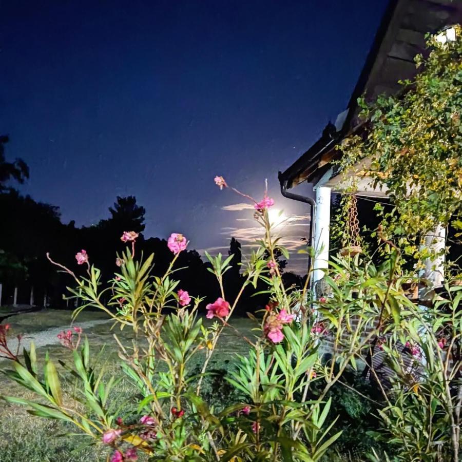 דירות Amanet House Zasavica מראה חיצוני תמונה