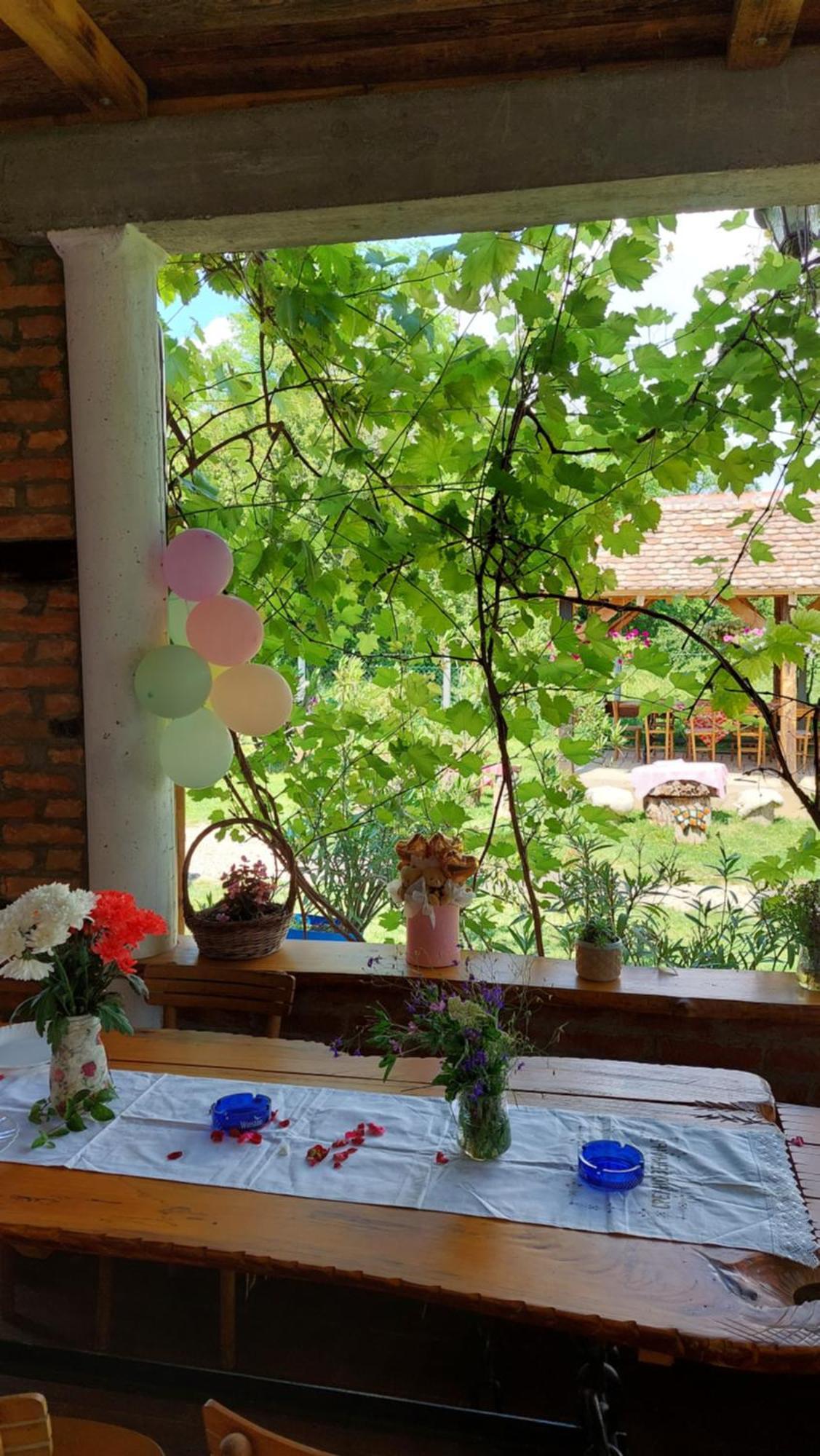 דירות Amanet House Zasavica מראה חיצוני תמונה
